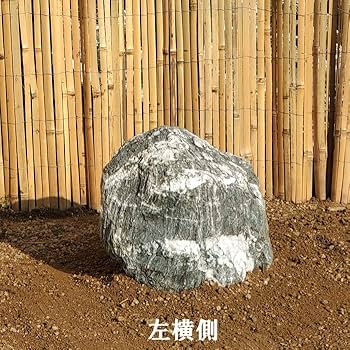 庭石の上の静物 まるで蝶みたい #カネコアヤノ #kanekoayano #石と蝶